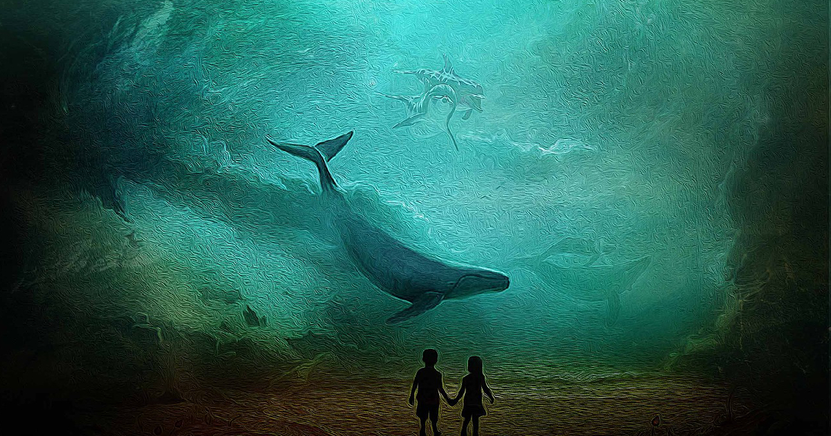 whales in lucid dreaming