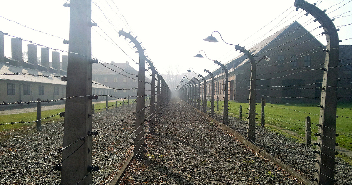 Nazi camp in lucid dreaming