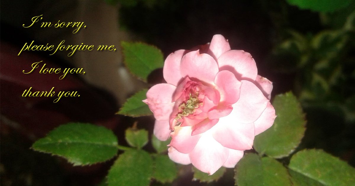 Ho’oponopono Blessing in Lucid Dreams I’m sorry, please forgive me, I love you, thank you.