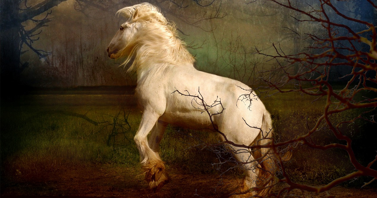 Lucid Dreaming, Sleep Paralysis, and Anxiety Getting on the Horse getting on the horse in lucid dreaming