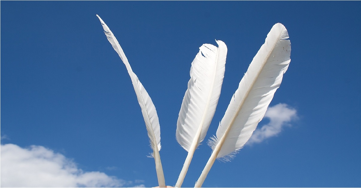Vivolino feathers in shamanic journey