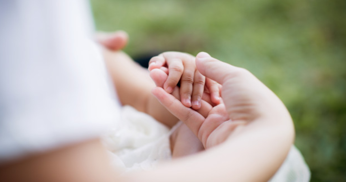 A Trustworthy Companion