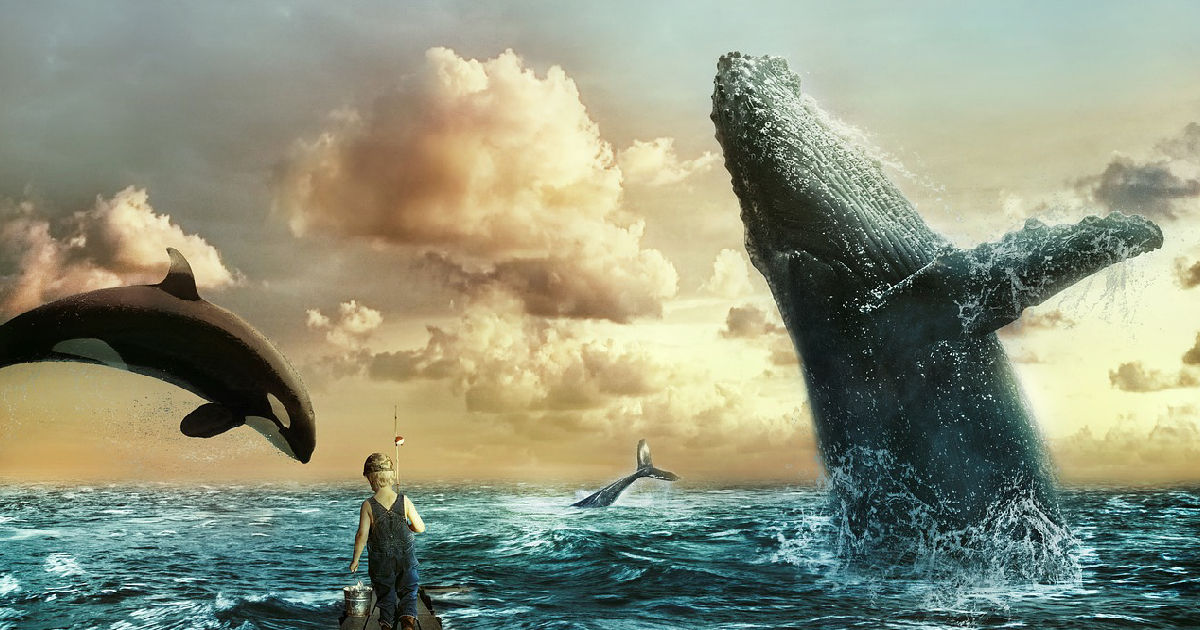 DarkWorkX whales in lucid dreaming