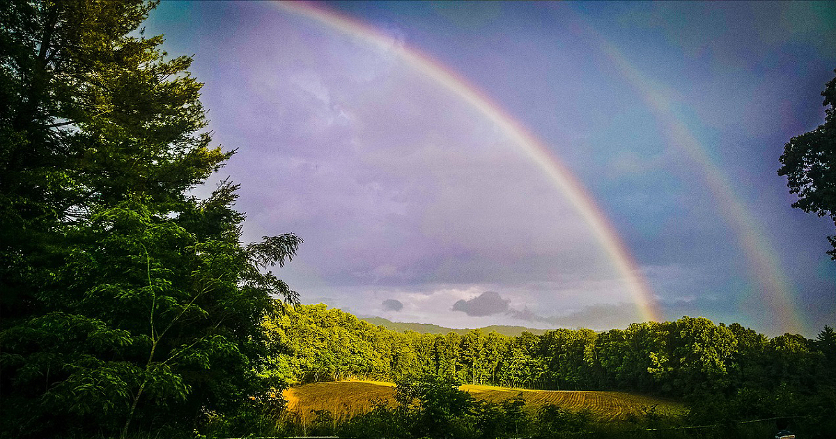 Image by Free-Photos from Pixabay A Lucid Dream Healing of My Dad