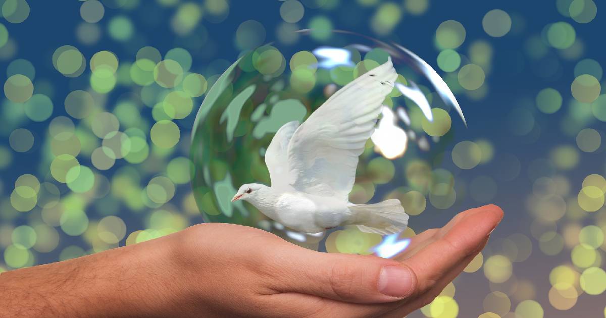 dove in lucid dreaming