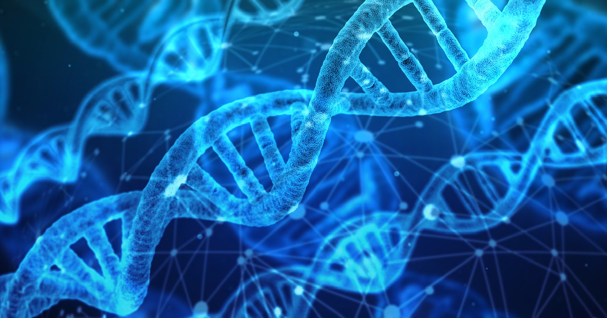 DNA 2 dna cells in lucid dreaming