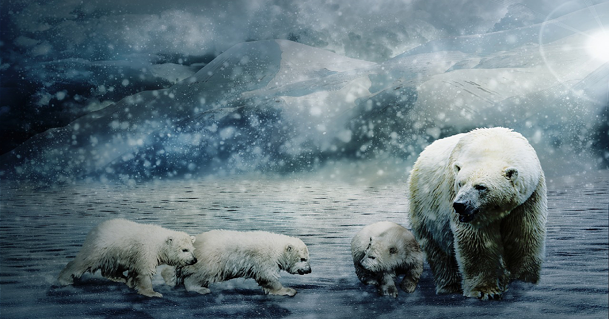 Image by Peter Fischer from Pixabay