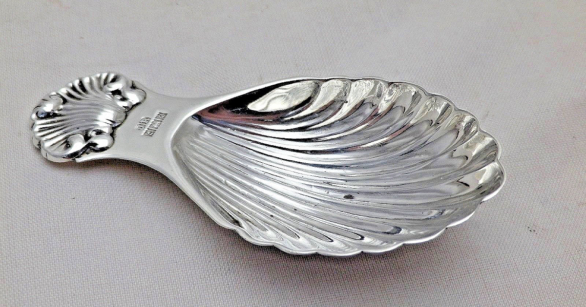 silver shell in lucid dreaming